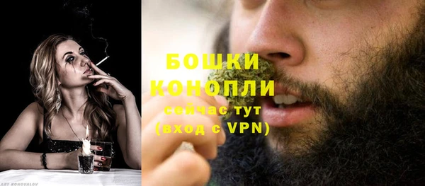 гашик Зеленокумск