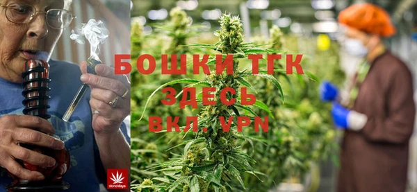 гашик Зеленокумск