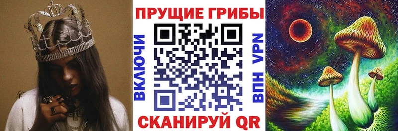 Псилоцибиновые грибы ЛСД  Домодедово 